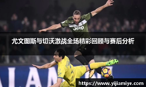bsports必一体育